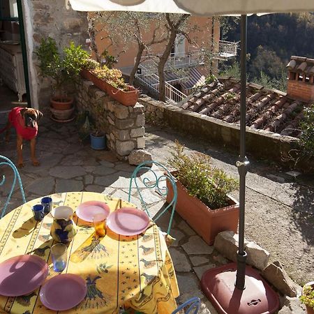 Villa Chezcatherine Sarzana Exterior foto