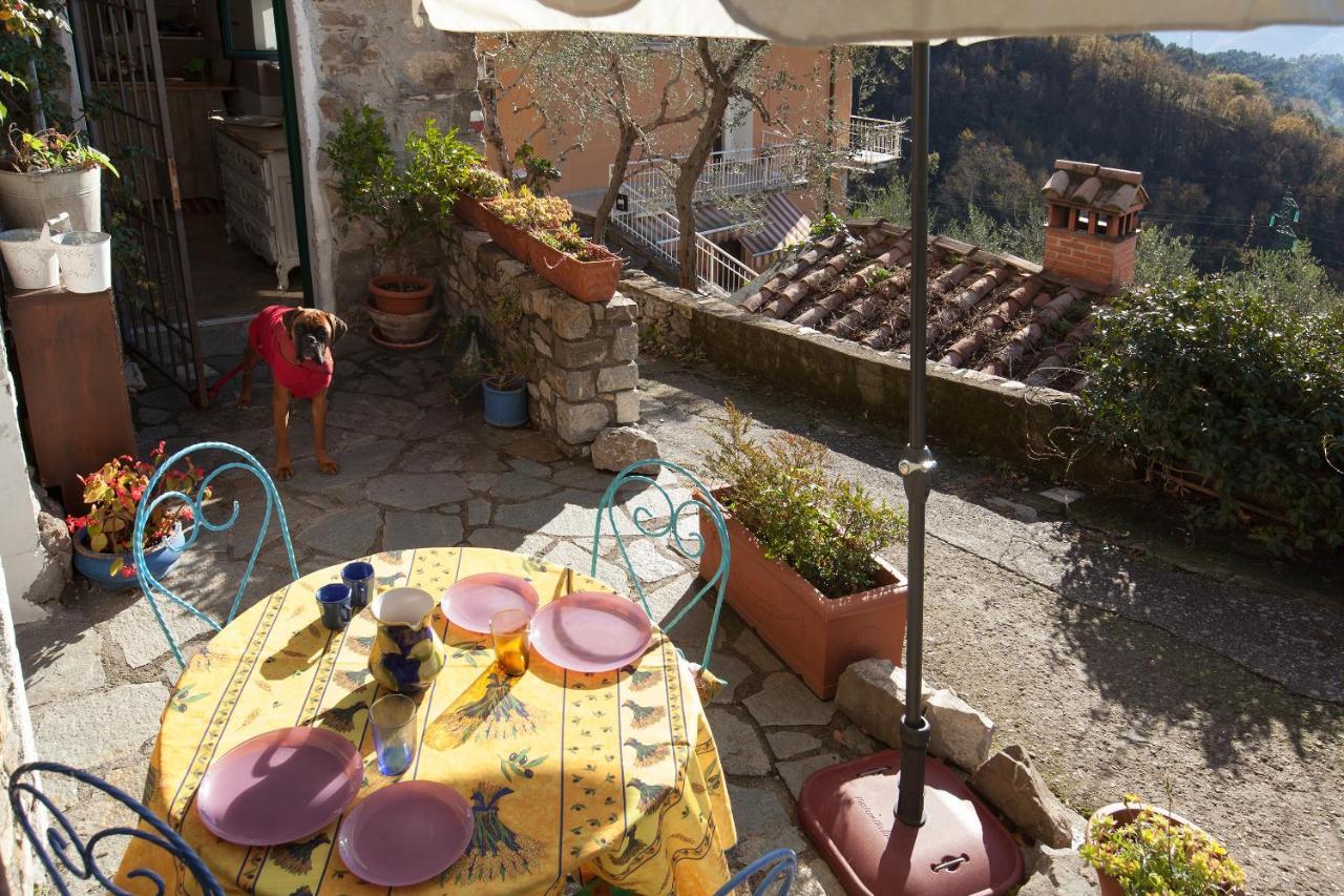 Villa Chezcatherine Sarzana Exterior foto